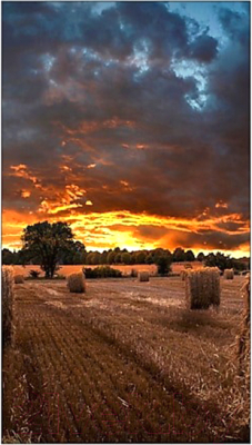 Информационная панель Samsung VM46B-U / LH46VMBUBGBXCI