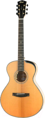 Электроакустическая гитара Cort Gold-Passion-WCASE-NAT - фото