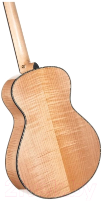 Электроакустическая гитара Cort Gold-Passion-WCASE-NAT