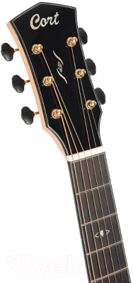 Электроакустическая гитара Cort Gold-Passion-WCASE-NAT