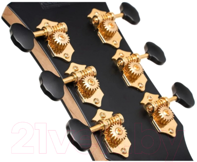 Электроакустическая гитара Cort Gold-Passion-WCASE-NAT