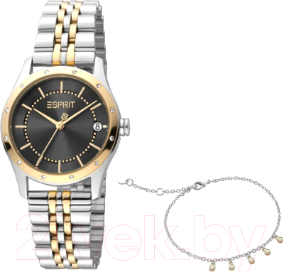 Часы наручные женские Esprit ES1L223M3155 - фото