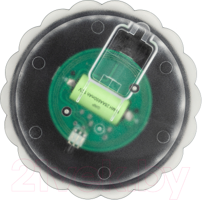 Светильник уличный ЭРА ERAFS012-08 / Б0057597