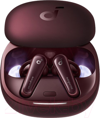 Беспроводные наушники Anker SoundCore TWS Liberty 4 / SDC-A3953G81-BR - фото