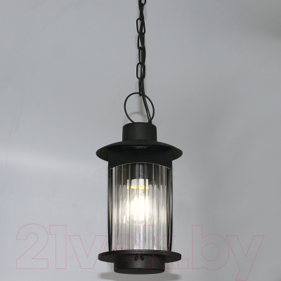 Светильник уличный Элетех Манхеттен НПУ 02-100-002 / 1030480549