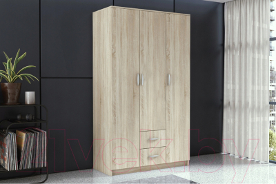 Шкаф Anrex Romana 3D2S (дуб сонома)