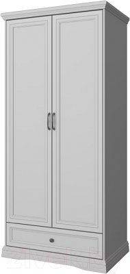 Шкаф Anrex Valencia 2DG1S (серый) - фото