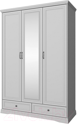 Шкаф Anrex Valencia 3DG2SZ (серый) - фото