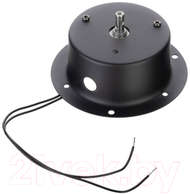 Диско-шар LAudio WS-MB25RED