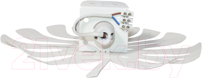 Бра Элетех Монстера 511 НББ 01-60-173 Е14 / 1005405132