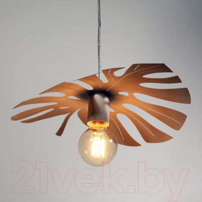 Потолочный светильник Элетех Монстера 211 НСБ 01-60-166 Е27 / 1005405156