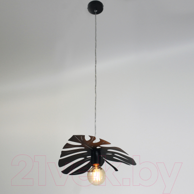 Потолочный светильник Элетех Монстера 211 НСБ 01-60-166 Е27 / 1005405158