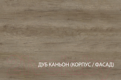 Тумба Anrex Kaylas 2S-1 (дуб каньон/силк шитаке)