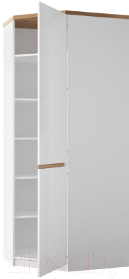 Шкаф Anrex Taurus 1DGP (белый/дуб вотан)