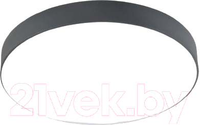 Потолочный светильник Mirastyle SL-41048/400-60W BK - фото