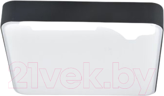 Потолочный светильник Mirastyle SL-41050/500-80W BK - фото