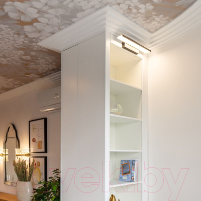 Подсветка для картин и зеркал Евросвет Sankara LED (серебристый)