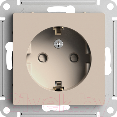 Розетка Schneider Electric AtlasDesign ATN001245