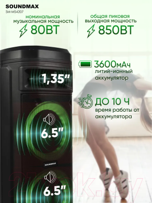 Портативная акустика SoundMax SM-MS4207 (черный)
