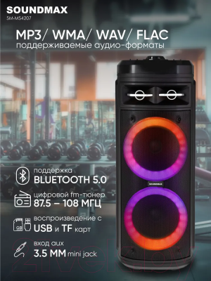Портативная акустика SoundMax SM-MS4207 (черный)