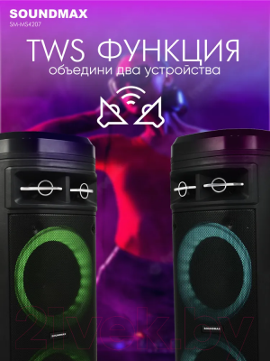 Портативная акустика SoundMax SM-MS4207 (черный)