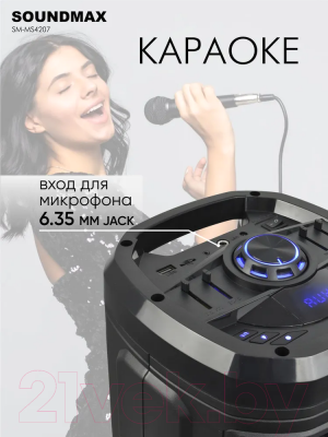 Портативная акустика SoundMax SM-MS4207 (черный)