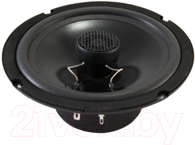 Коаксиальная АС Best Balance F65