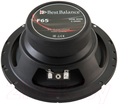 Коаксиальная АС Best Balance F65