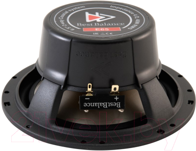 Коаксиальная АС Best Balance E65