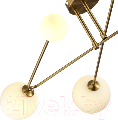 Люстра Evoluce SLE2211-302-06