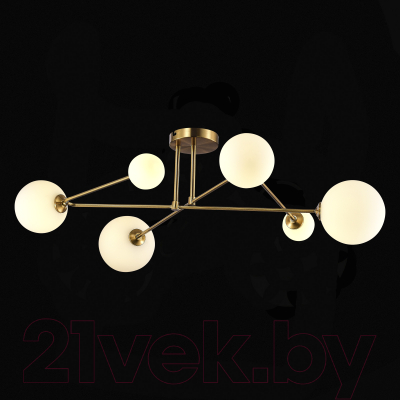 Люстра Evoluce SLE2211-302-06