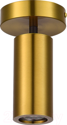 Потолочный светильник ST Luce SL1215.402.01 - фото