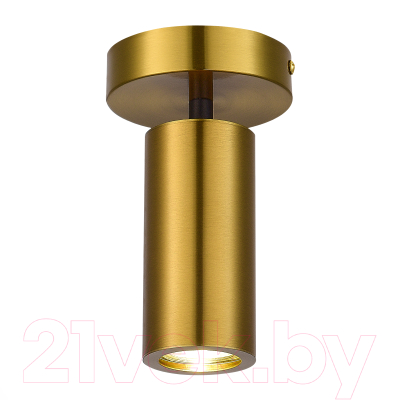 Потолочный светильник ST Luce SL1215.402.01