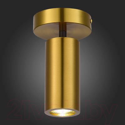 Потолочный светильник ST Luce SL1215.402.01