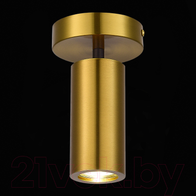 Потолочный светильник ST Luce SL1215.402.01