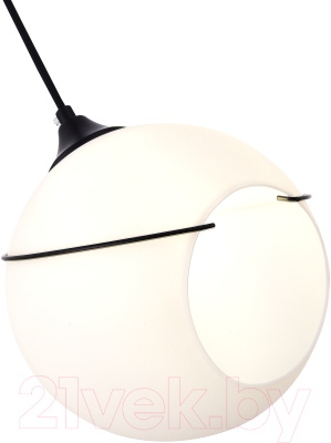 Потолочный светильник Evoluce SLE103143-01