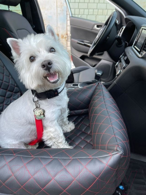 Автокресло для собак ElCrucce 45x45x60 (экокожа, черный/белая строчка)