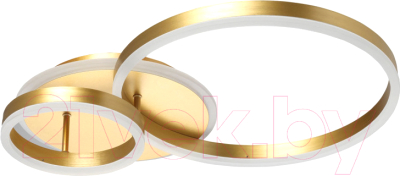 Потолочный светильник De City Оскар 510011503 - фото