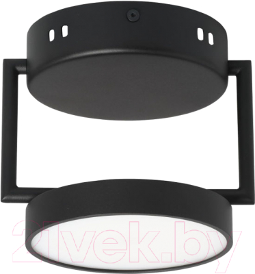 Потолочный светильник De Markt Гэлэкси 632017501 - фото