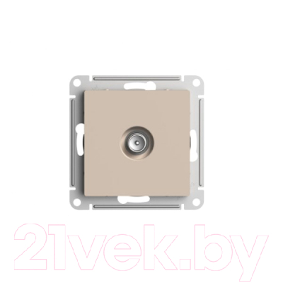 Розетка Schneider Electric AtlasDesign ATN001293