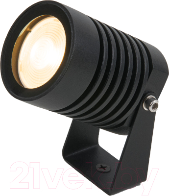 Прожектор Elektrostandard Landscape LED / 043 FL - фото