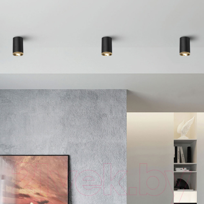 Точечный светильник Elektrostandard LED 9W 4200K / 25033 (черный)