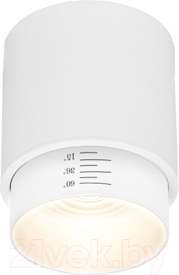 Точечный светильник Elektrostandard Cors 10W /25032/LED (белый) - фото