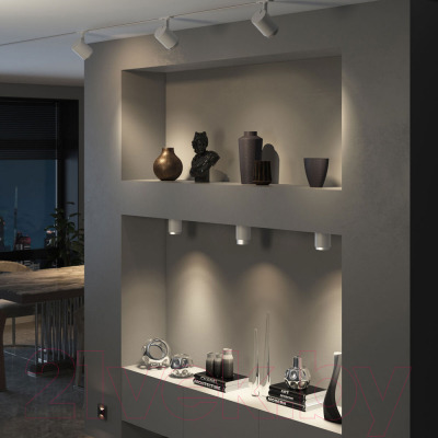 Точечный светильник Elektrostandard Cors 10W /25032/LED (белый)