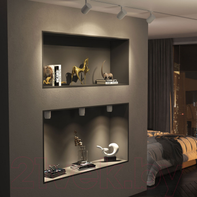 Точечный светильник Elektrostandard Cors 10W /25032/LED (белый)