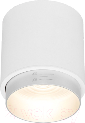 Точечный светильник Elektrostandard Cors 10W / 25032/LED (белый/серебристый) - фото