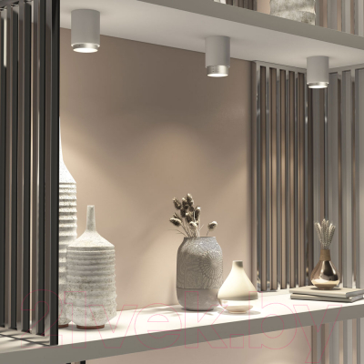 Точечный светильник Elektrostandard Cors 10W / 25032/LED (белый/серебристый)