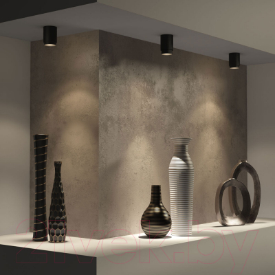 Точечный светильник Elektrostandard Cors 10W / 25032/LED (черный)