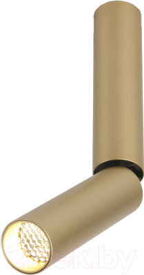 Точечный светильник Elektrostandard Pika 6W / 25029/LED - фото