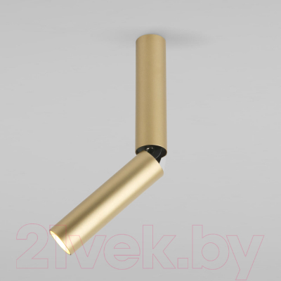 Точечный светильник Elektrostandard Pika 6W / 25029/LED